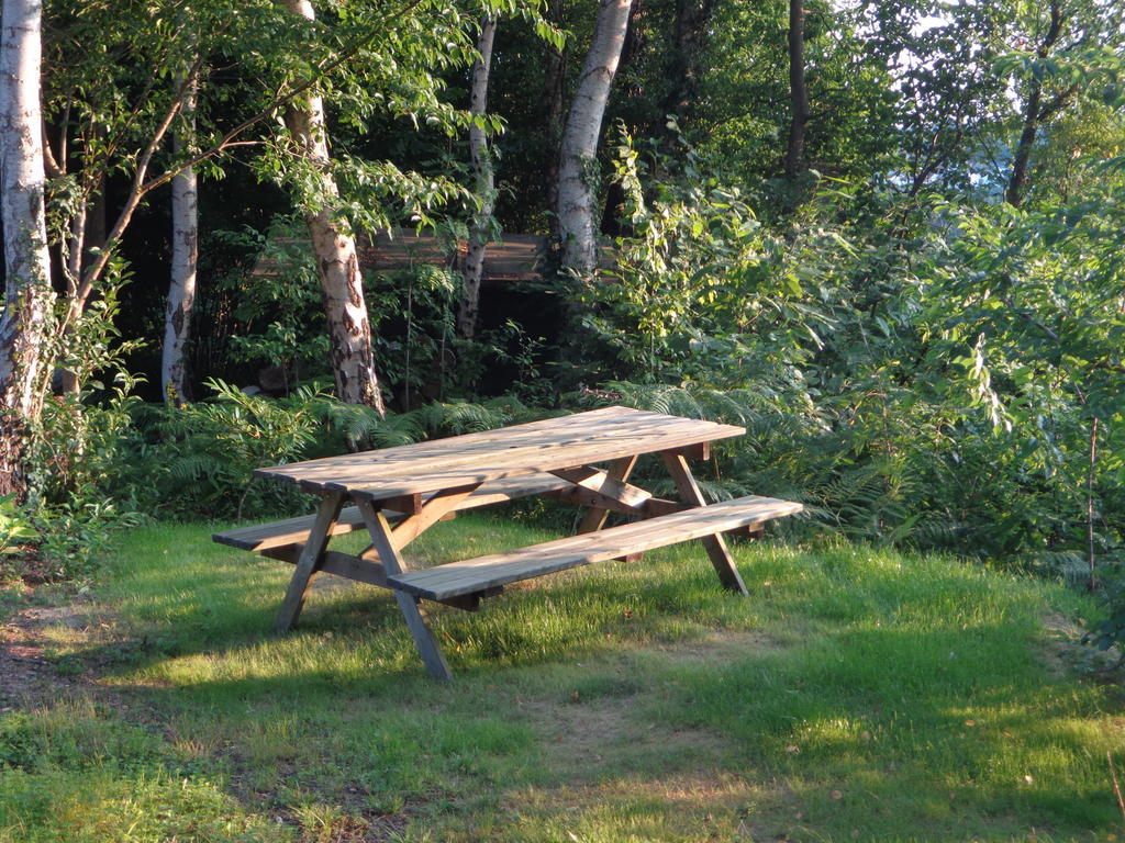Green Hill Guest House And Apartment Overijse Exteriör bild