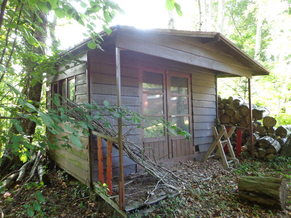 Green Hill Guest House And Apartment Overijse Exteriör bild