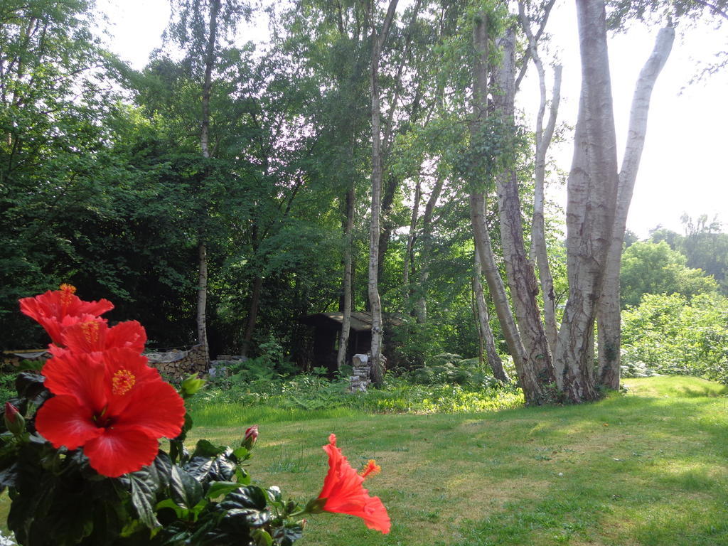Green Hill Guest House And Apartment Overijse Exteriör bild